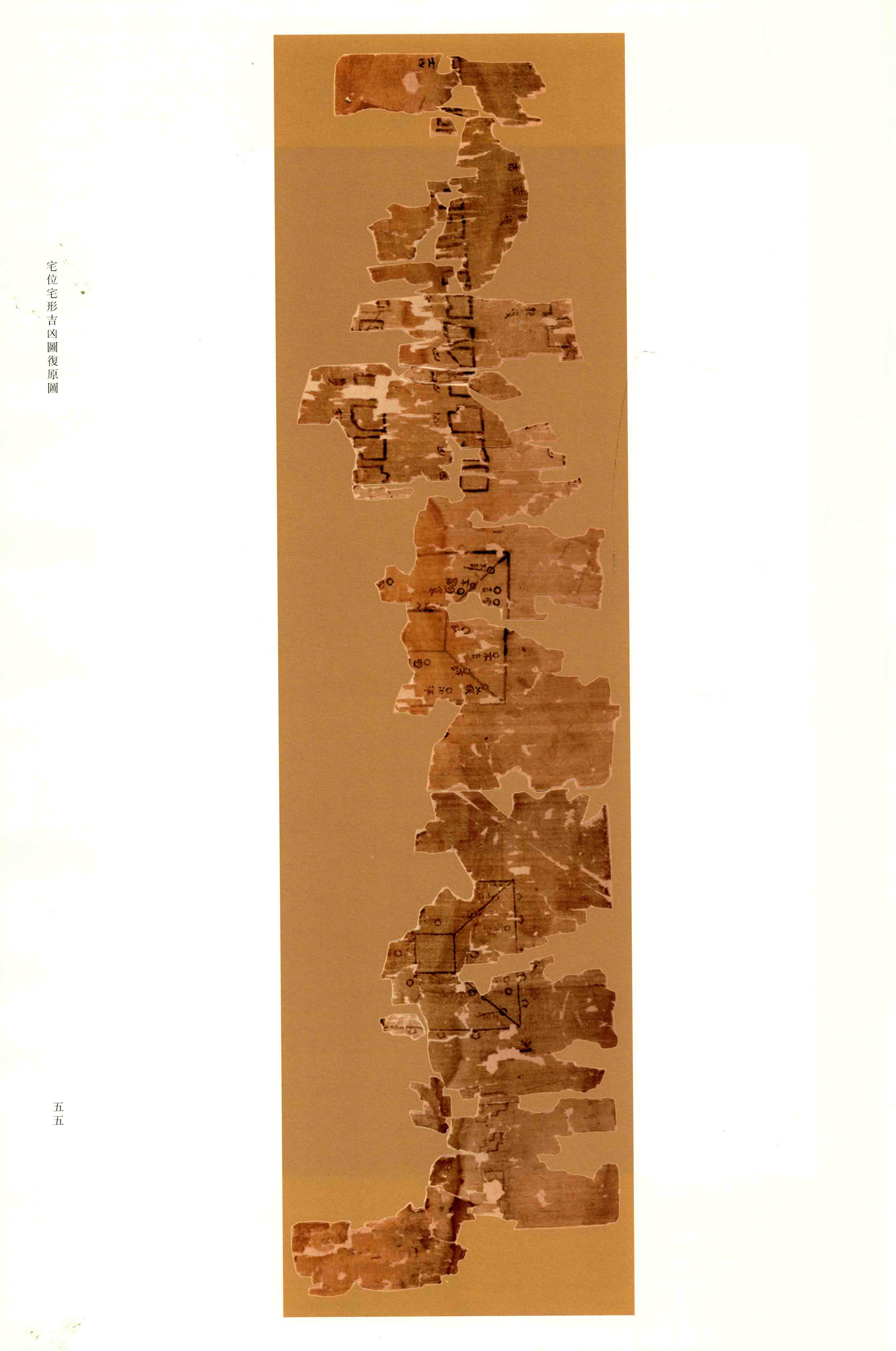 第 2 册 第 55 页