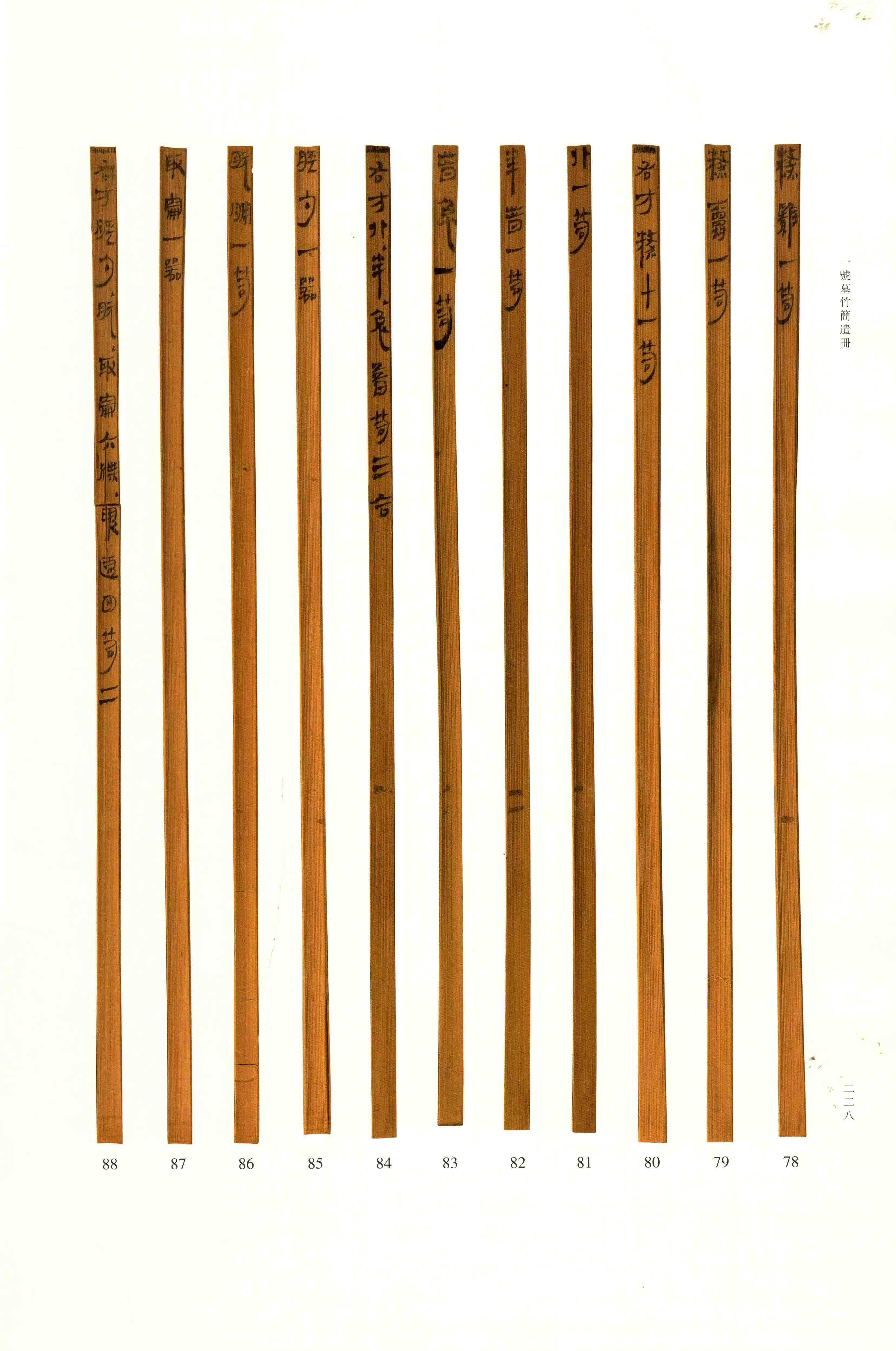 Vol. 2, p. 228