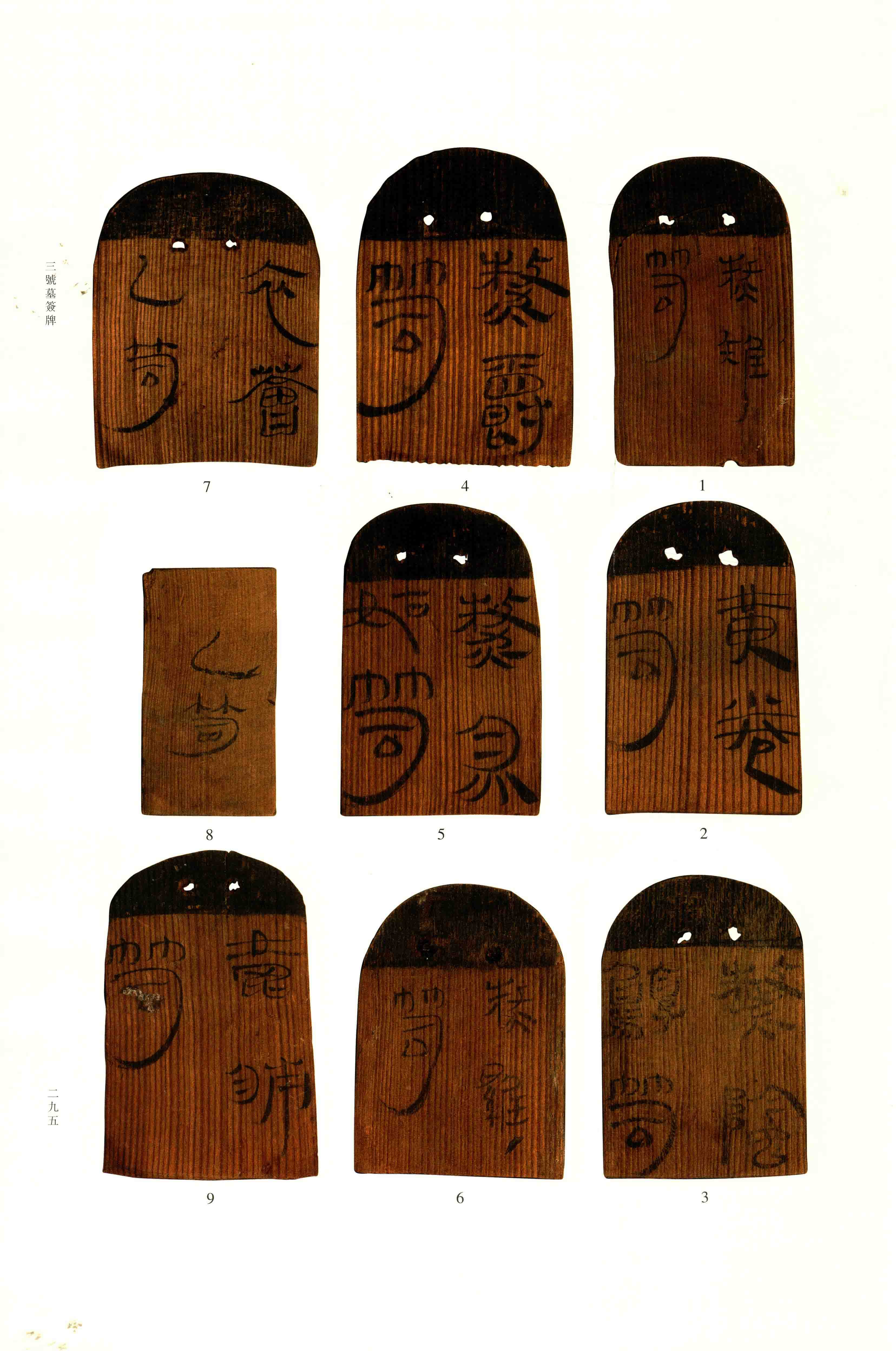 第 2 册 第 295 页